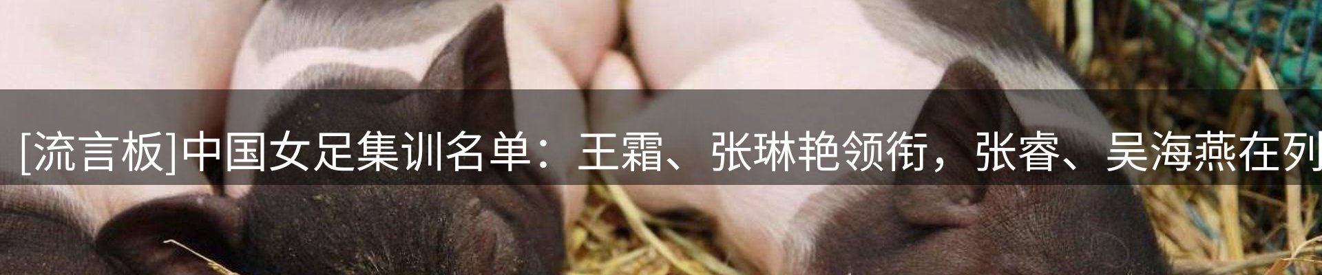 新闻图鉴